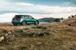 Audi SQ5 3.0 TDI 2019 года (WW)